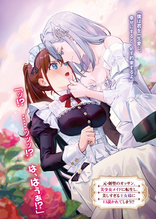 最強の剣聖、美少女メイドに転生し箒で無双する 3