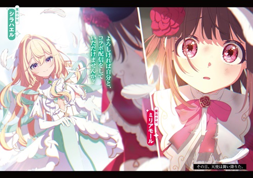 魔法少女はおとなのつとめです。①