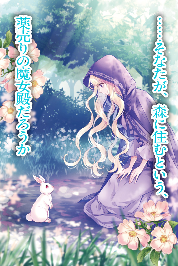 「……そなたが、森に住むという、薬売りの魔女殿だろうか」
