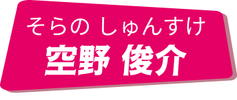 空野俊介