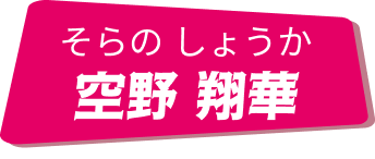 空野翔華