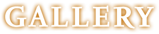 ギャラリー