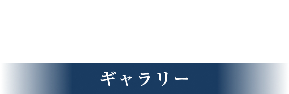 ギャラリー